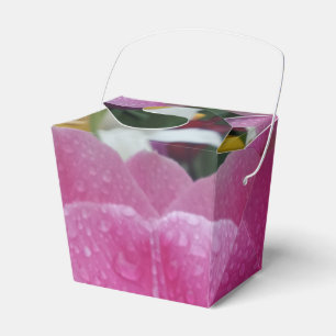 Ballotins Fleur Tulip Rose Sortir Ballotin