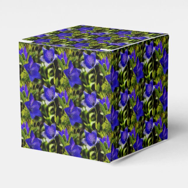 Ballotins Fleurs Bleues Motif Nature       (Verso)