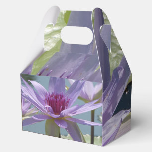 Ballotins Fleurs de Lotus Violettes en Gros Plan Boîte à Fav