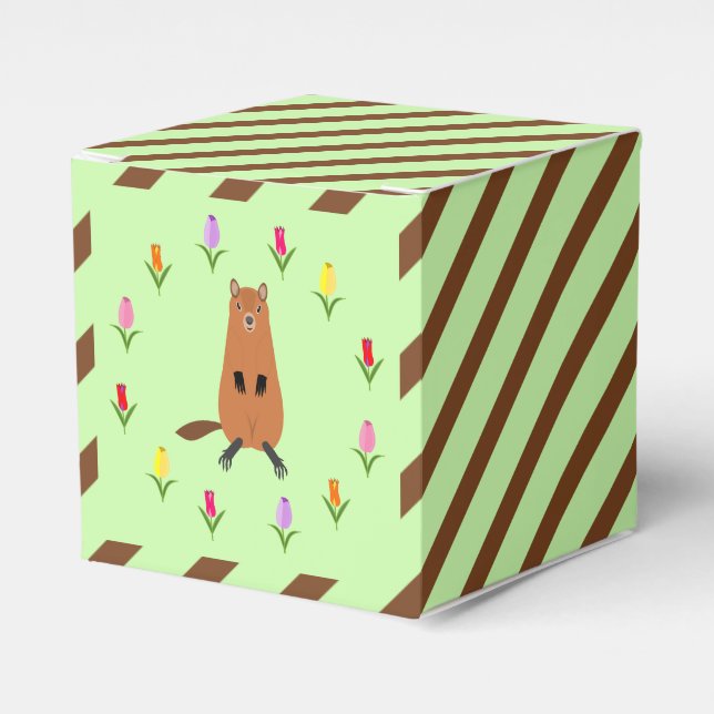 Ballotins Fleurs de marmotte et de tulipe mignonnes (Verso)