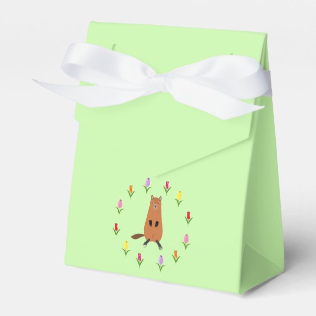 Ballotins Fleurs de marmotte et de tulipe mignonnes (Verso)