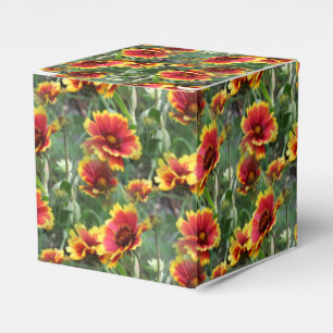 Ballotins Fleurs de pâquerettes colorées motif de la nature