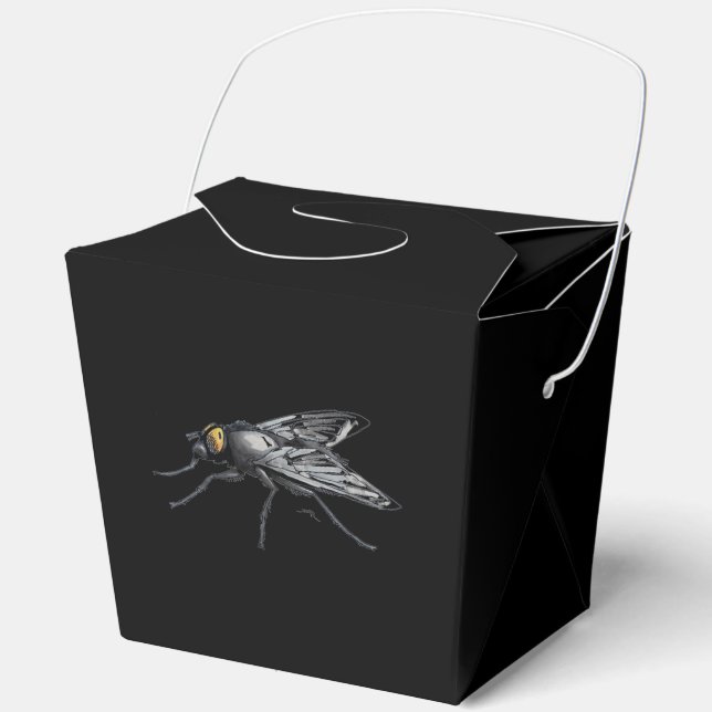 Ballotins Fly Buddy géant mouche noir sortir boîte (Recto)