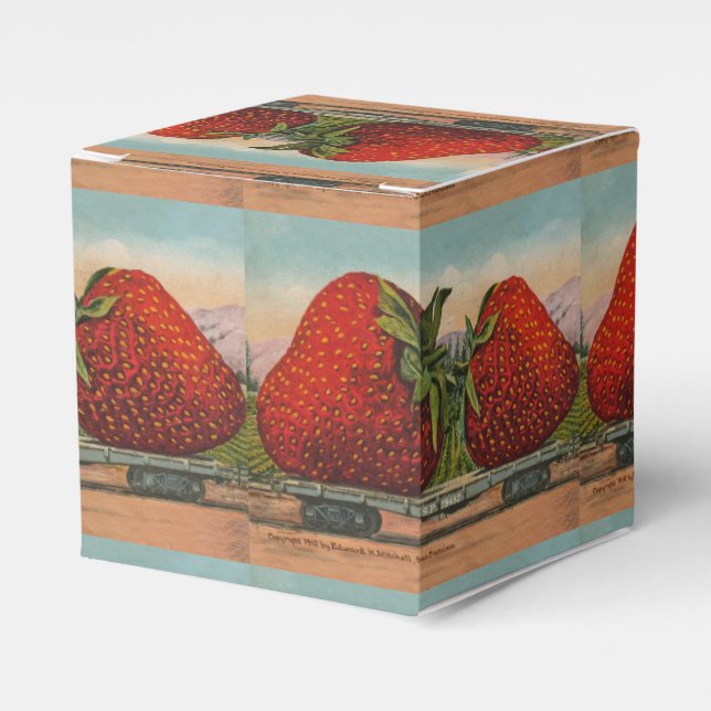 Ballotins Fraises Giant Fruit Antique Fruit Amusant (Verso)