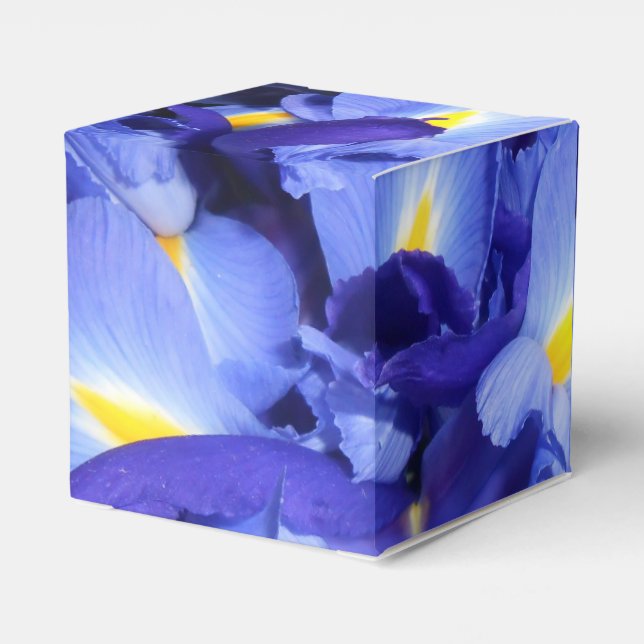 Ballotins Gaye Elise Beda, élégante, artistique, tendance, F (Arrière)