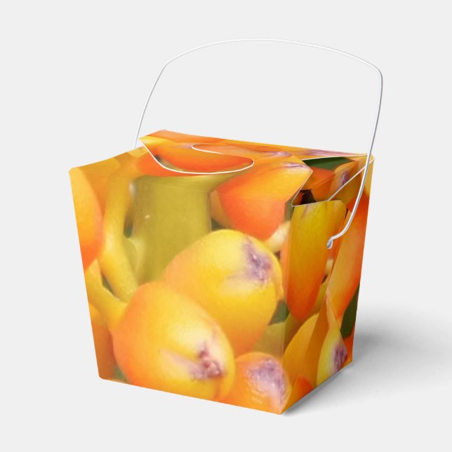 Ballotins Graines de fleurs Sortir Ballotin (Verso)