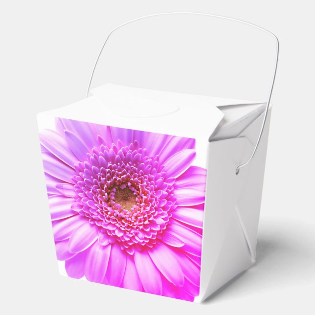 Ballotins Graphique de marguerite transvale Couleur Fleur (Recto)