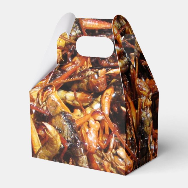 Ballotins Grasshopper frit (Takkataen Thot) Alimentation asi (Verso)