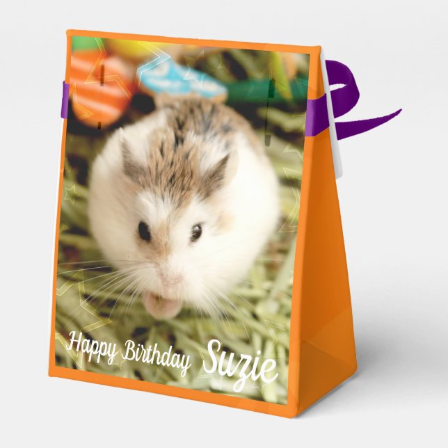 Ballotins Hammyville - Cute Hamster (Arrière)