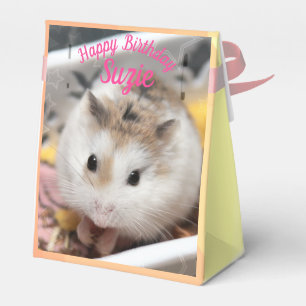 Ballotins Hammyville - Cute Hamster
