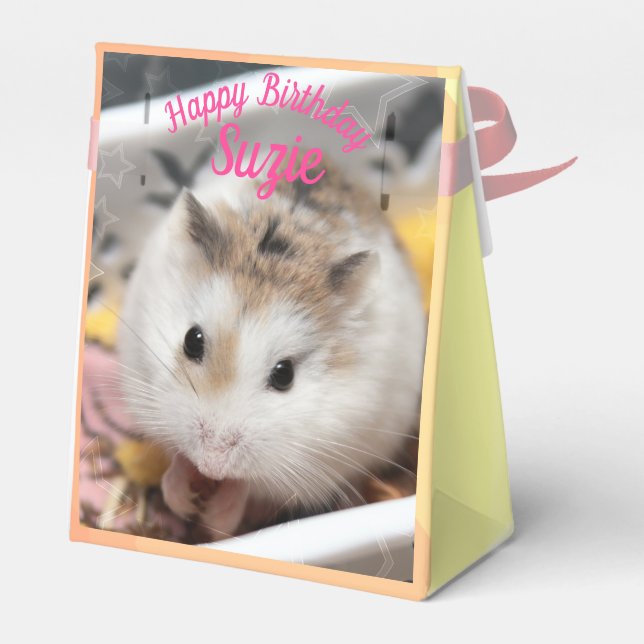 Ballotins Hammyville - Cute Hamster (Arrière)
