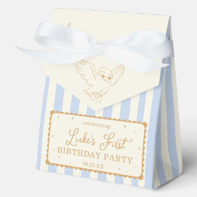 Ballotins Harry Potter Hedwig Rayure Bleue Baby Shower (Recto)