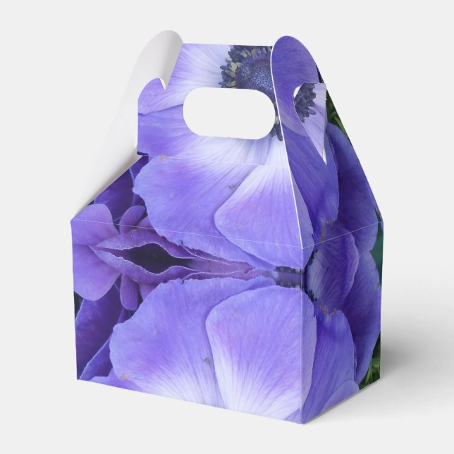 Ballotins Henrietta (Arrière)