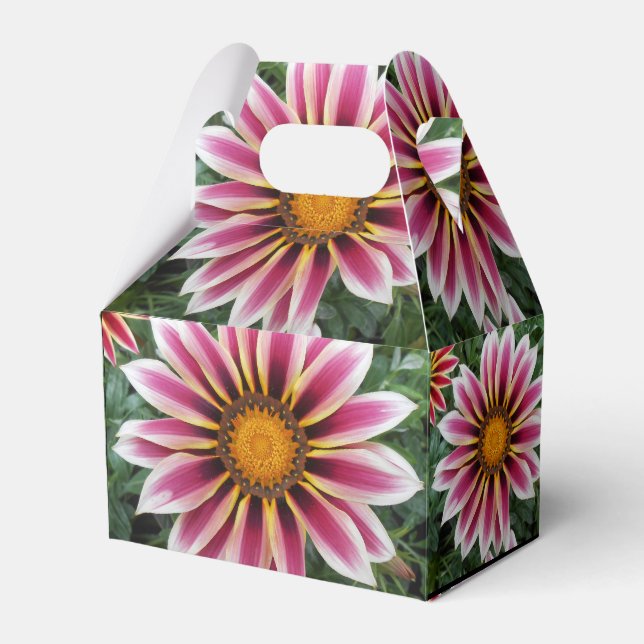 Ballotins Hereford (Verso)