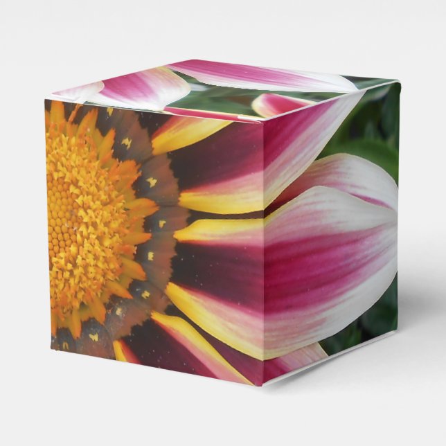 Ballotins Hereford (Verso)