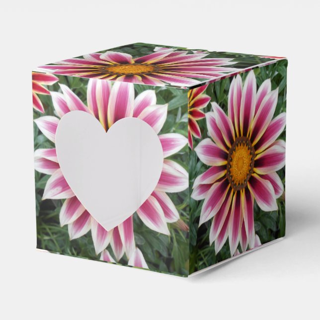 Ballotins Hereford (Verso)