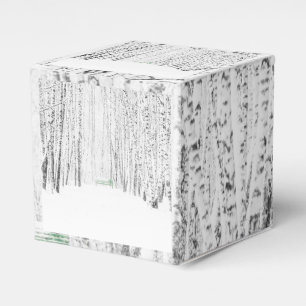 Ballotins Histoire de Noël blanche