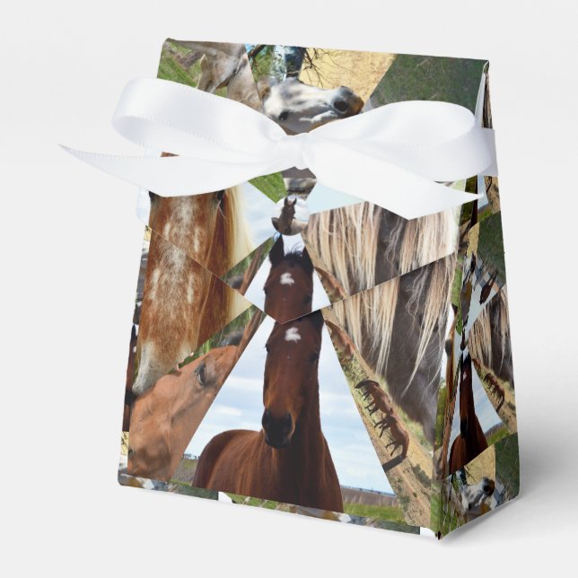 Ballotins Huit Triangles De Cheval, Boîte De Fête Faveur (Verso)