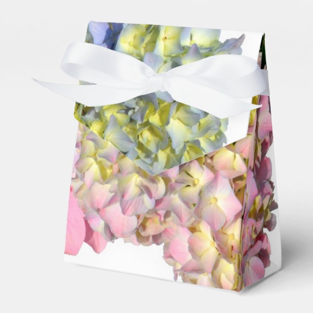 Ballotins Hydrangeas florales rose bleu jaune vert poussiére (Verso)