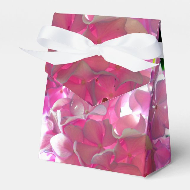 Ballotins Hydrangées roses rayonnantes, fleurs roses (Verso)