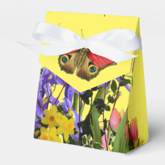 Ballotins Jardin printanier et Ballotin papillon