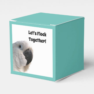 Ballotins Jour de l'amitié Cockatova Foule Ensemble Photo am