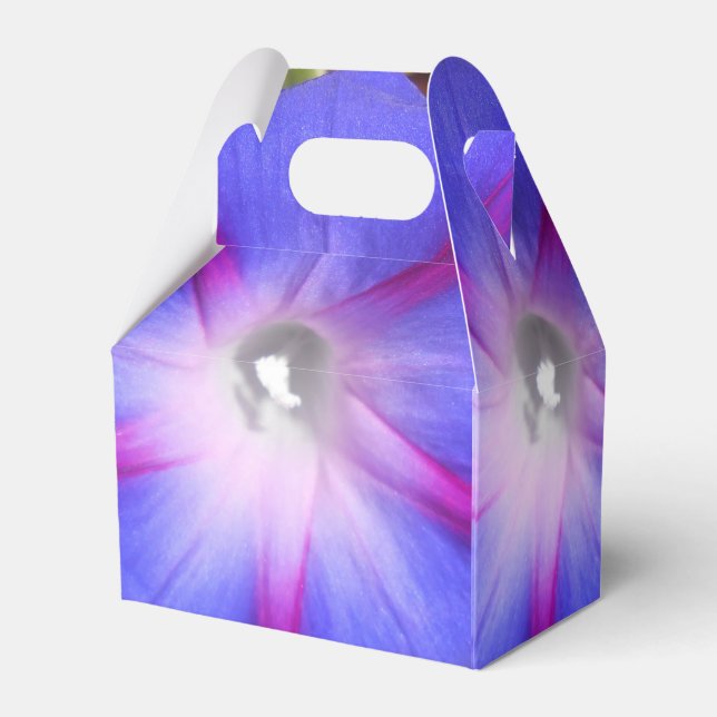 Ballotins Labille-Guiard (Arrière)