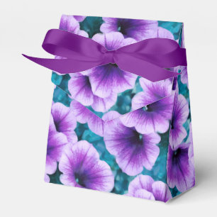 Ballotins Lavender Petunia Flowers