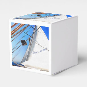 Ballotins Le Réaliste Ajuste Les Voiles Art Nautique