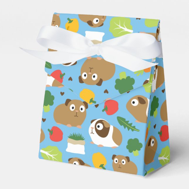 Ballotins Les Cochons De Guinée Et Leurs Traitements (Verso)