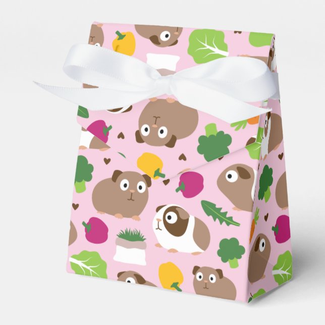 Ballotins Les Cochons De Guinée Et Leurs Traitements (Verso)