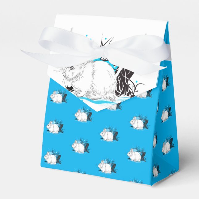 Ballotins Lièvre (Verso)