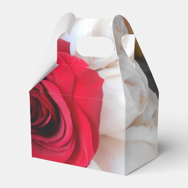 Ballotins Lindegren (Verso)