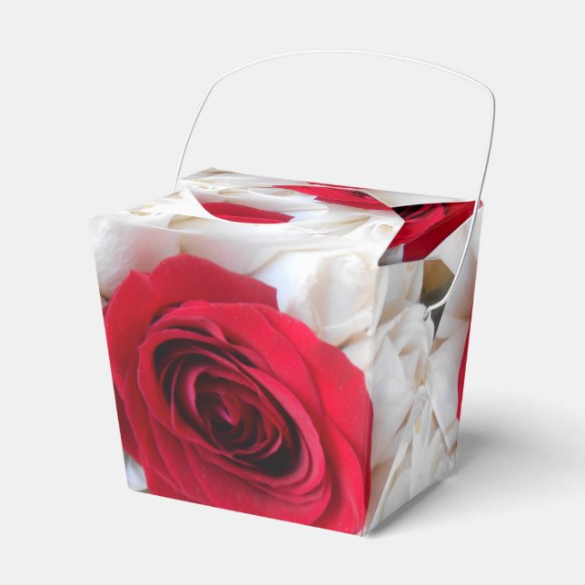 Ballotins Lindegren (Verso)