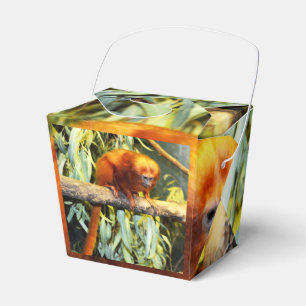 Ballotins Lion d'or Tamarin, boîte de réception