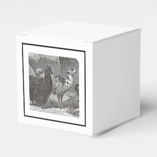 Ballotins Llama Alpaca noir et blanc Andes Animal Art