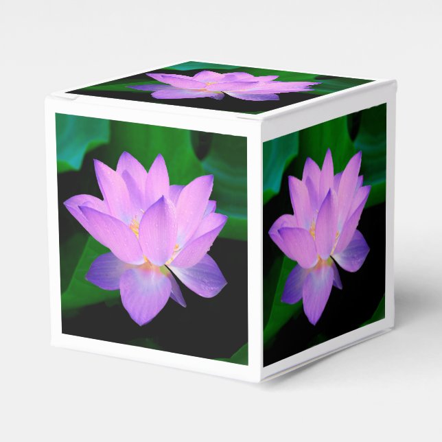 Ballotins Lotus Flower (Verso)