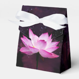 Ballotins lotus magique -
