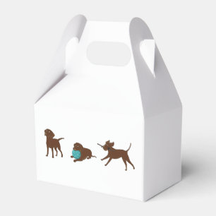 Ballotins lr chocolate lab bande dessinée