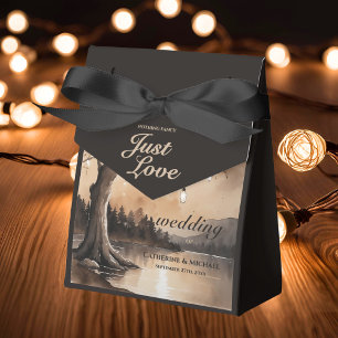 Ballotins Lumières À Chaînes Sur Le Mariage campagnard Roman