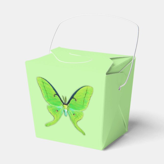 Ballotins Luna moth sur un arrière - plan vert pâle (Verso)