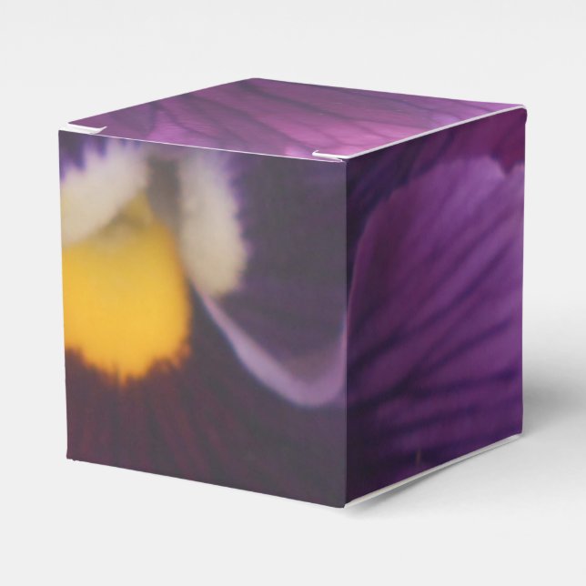 Ballotins Mechteld (Verso)