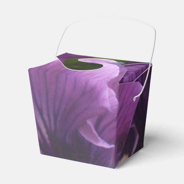 Ballotins Mechteld (Verso)