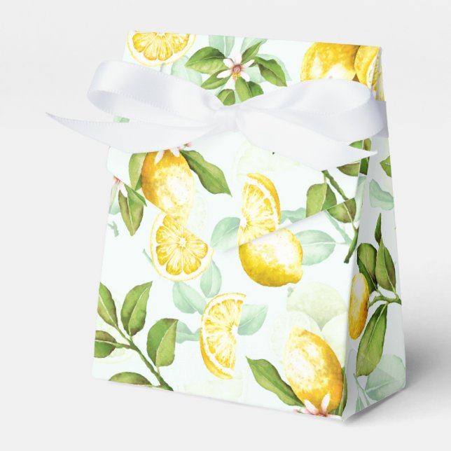 Ballotins Monnaie Motif aux fruits citrons (Verso)