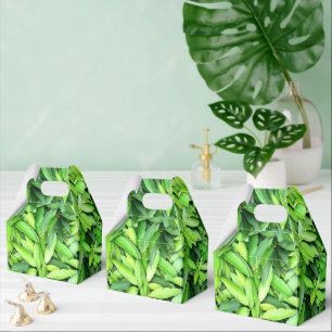 Ballotins Motif Feuille verdoyant - Nature Botanique