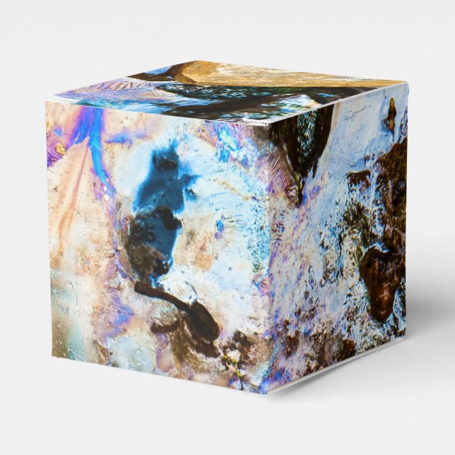 Ballotins nature abstraite eau morte (Verso)