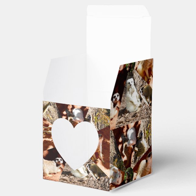 Ballotins Neuf Triangles Meerkat, Boîte De Faveur De Fête (Ouvert)