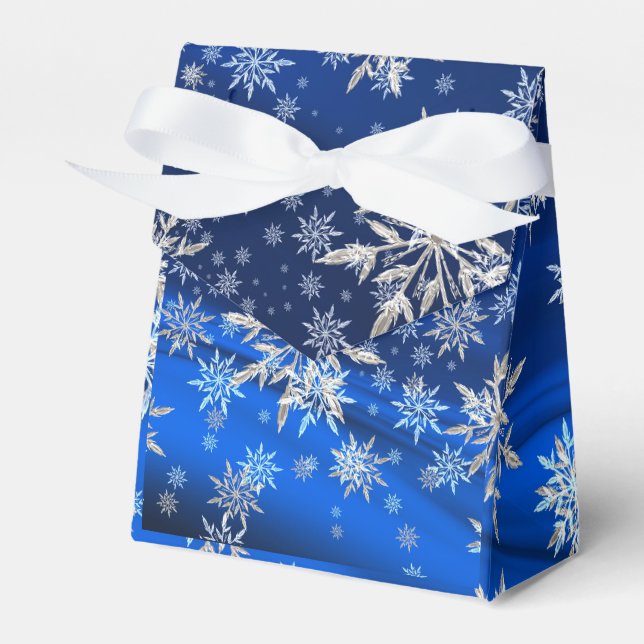 Ballotins Noël Vacances hiver Flacons de neige Ballotin (Verso)