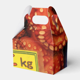 Ballotins Octopus Tako た こ marché de poisson Tsukiji, Tokyo,