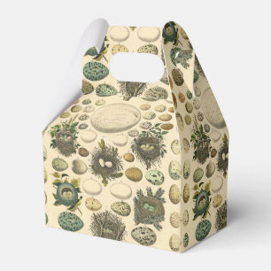 Ballotins OEuf vintage Nid Art Peinture OEufs